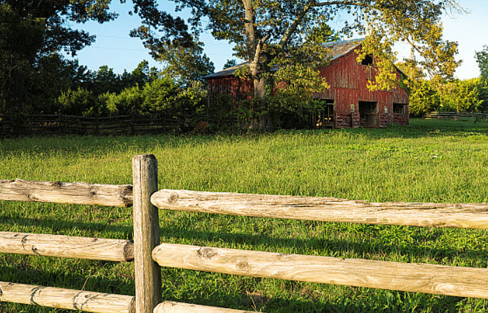 wood fence